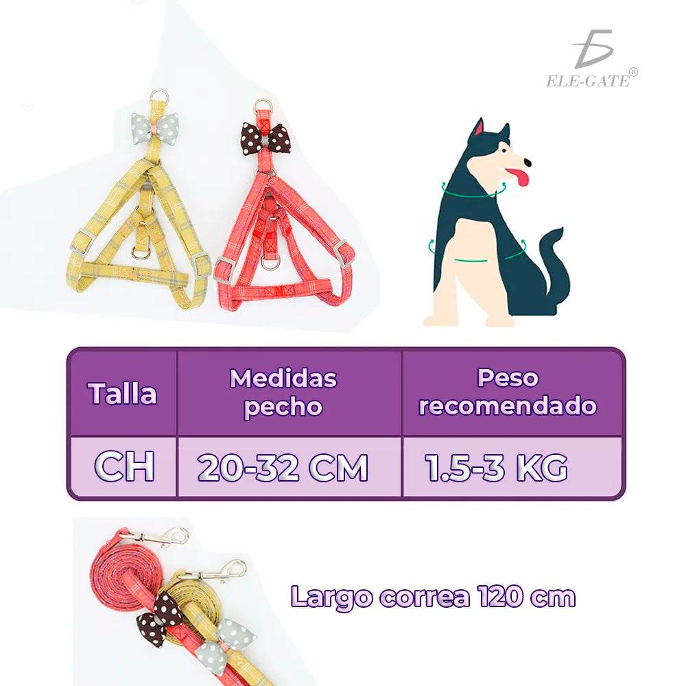 Correa y Arnés con Moñito