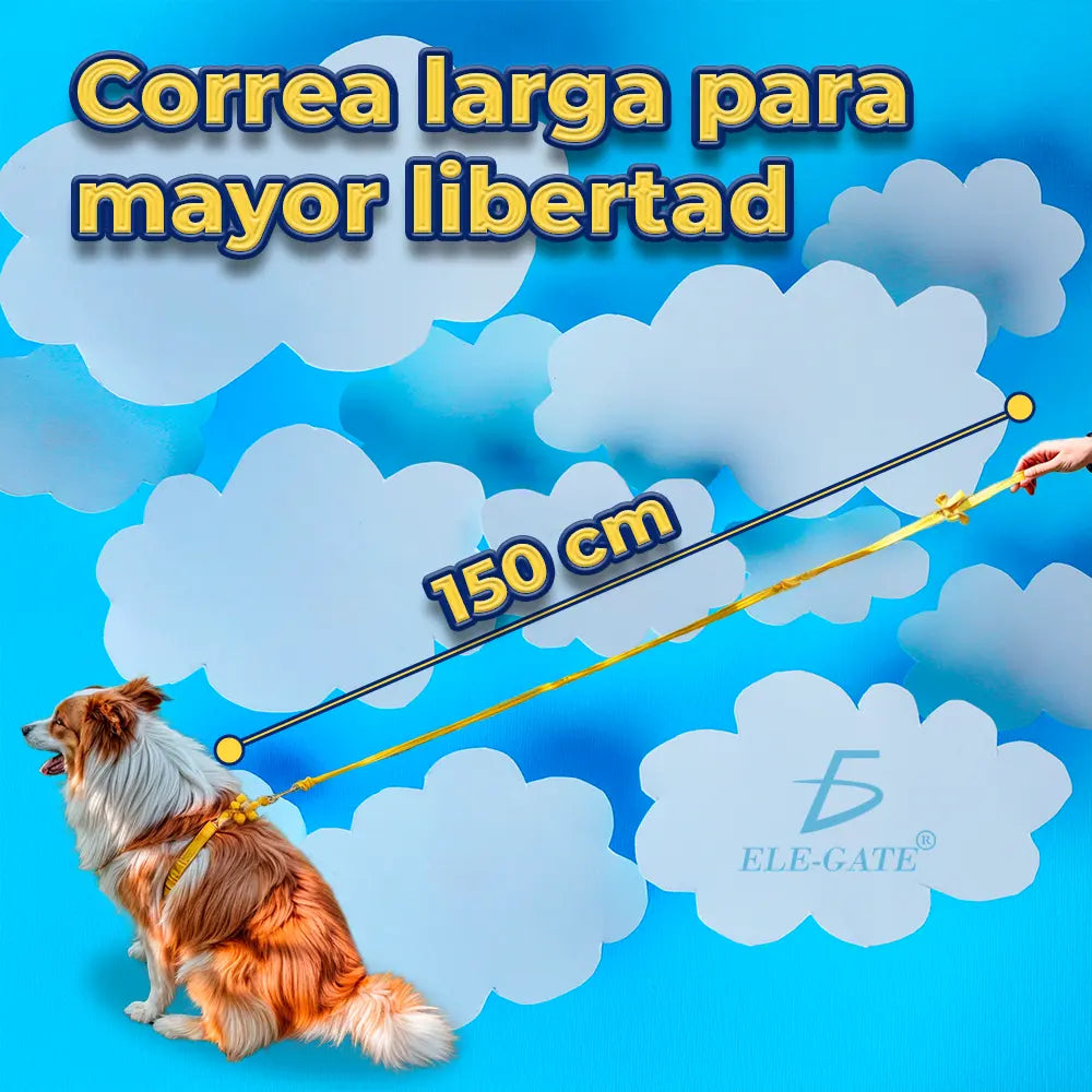 Correa y Arnés para Gatos y Perros Pequeños