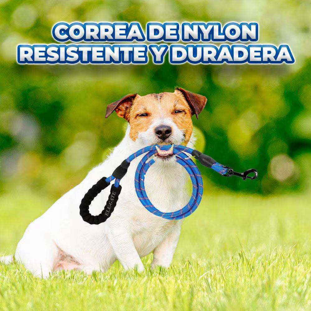 Correa de perro resistente de 3 metros con asa acolchada