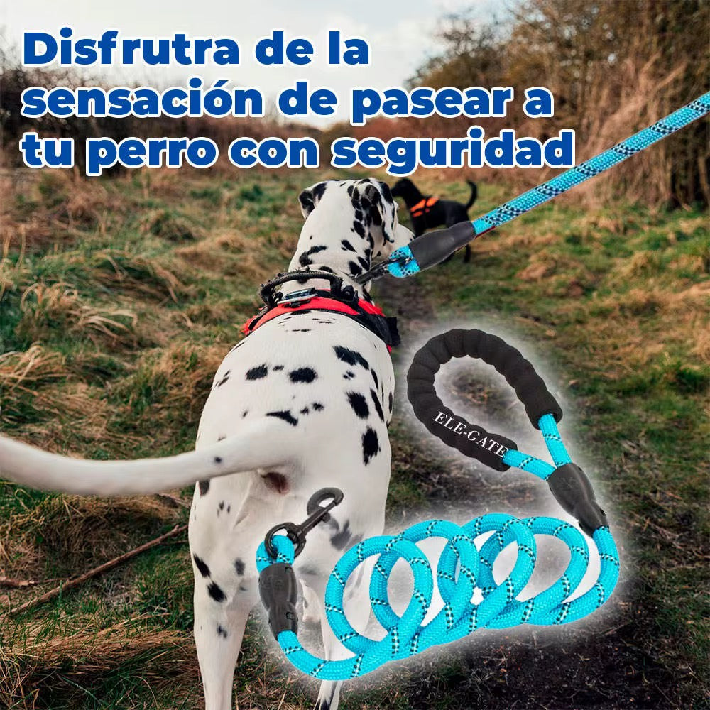 Correa de perro resistente de 3 metros con asa acolchada